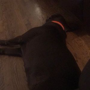 Meet your Posher, Jodi